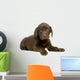 Chiot Labrador Devant Un Wall Decal