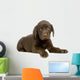 Chiot Labrador Devant Un Wall Decal