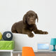 Chiot Labrador Devant Un Wall Decal