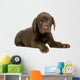Chiot Labrador Devant Un Wall Decal