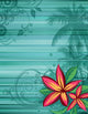 Frangipani Tropical Flowers on Striped Background Wall Mural