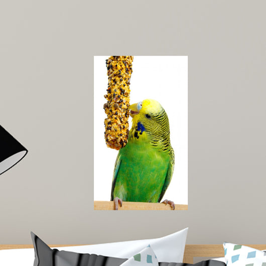 Budgerigar With Birdseed Wall Decal