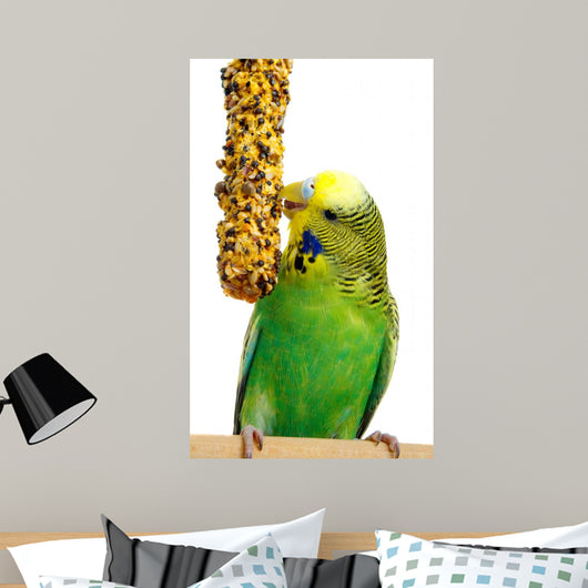 Budgerigar With Birdseed Wall Decal
