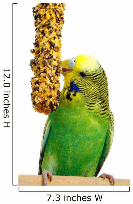 Budgerigar With Birdseed Wall Decal