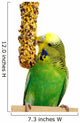 Budgerigar With Birdseed Wall Decal