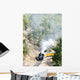 Durango   Silverton Narrow Gauge Railroad, Colorado, USA Wall Mural