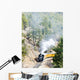 Durango   Silverton Narrow Gauge Railroad, Colorado, USA Wall Mural