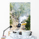 Durango   Silverton Narrow Gauge Railroad, Colorado, USA Wall Mural