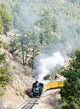 Durango   Silverton Narrow Gauge Railroad, Colorado, USA Wall Mural