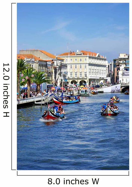 Landscape of Aveiro, Portugal. Wall Mural