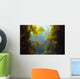 luscious green underwater kelp forest at catalian island, califo Wall Mural