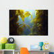 luscious green underwater kelp forest at catalian island, califo Wall Mural