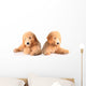 Golden Doodle Puppies Wall Decal
