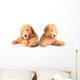 Golden Doodle Puppies Wall Decal