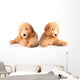 Golden Doodle Puppies Wall Decal