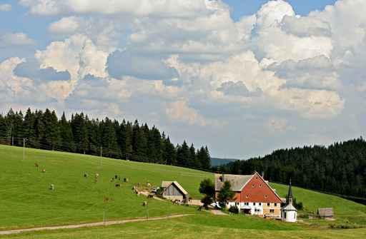 Black Forest Farmhouse Wall Decal