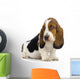 Basset Hound Puppy Wall Decal