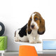 basset hound puppy Wall Decal