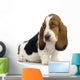 basset hound puppy Wall Decal
