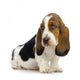 basset hound puppy Wall Decal