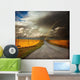 country road Wall Mural