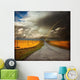 country road Wall Mural
