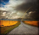 country road Wall Mural