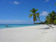 Dream Beach Saona Island Wall Decal