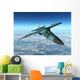 F-111 Wall Mural
