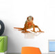 Chameleon Furcifer pardalis Wall Decal