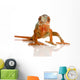 Chameleon Furcifer pardalis Wall Decal