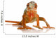 Chameleon Furcifer pardalis Wall Decal