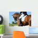 Dressage