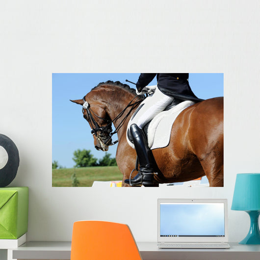 Dressage
