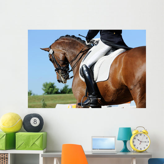 Dressage