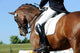 Dressage