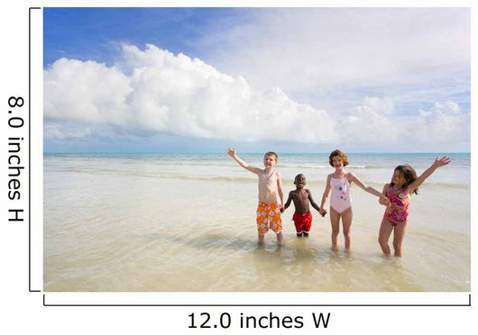 beach series - diversity Wall Mural
