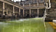 Roman Baths, Bath Wall Mural