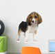 Puppy Beagles Wall Decal