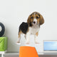 Puppy Beagles Wall Decal