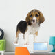 Puppy Beagles Wall Decal