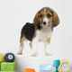 Puppy Beagles Wall Decal