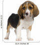 Puppy Beagles Wall Decal