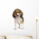 Chiot Beagles Wall Decal