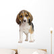 Chiot Beagles Wall Decal