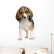 Chiot Beagles Wall Decal