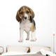 Chiot Beagles Wall Decal
