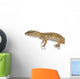Young Leopard gecko - Eublepharis macularius Wall Decal