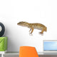 Young Leopard gecko - Eublepharis macularius Wall Decal