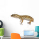Young Leopard gecko - Eublepharis macularius Wall Decal